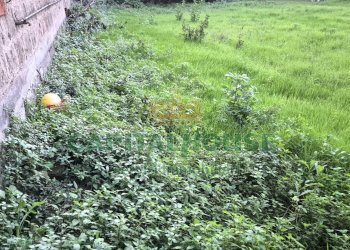 Foto 20 - Terreno edificabile Capodrise - foto 20