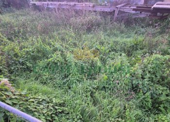 Foto 4 - Terreno edificabile Macerata Campania - foto 4