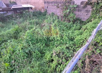 Foto 5 - Terreno edificabile Macerata Campania - foto 5