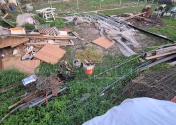 Foto 10 - Terreno edificabile Macerata Campania - foto 10