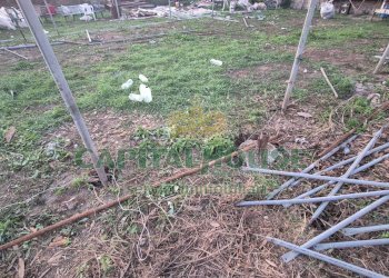 Foto 15 - Terreno edificabile Macerata Campania - foto 15