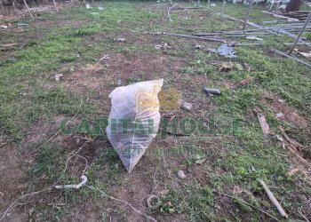 Foto 18 - Terreno edificabile Macerata Campania - foto 18