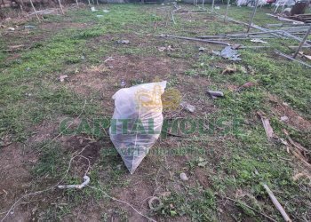 Foto 19 - Terreno edificabile Macerata Campania - foto 19