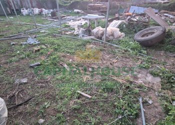 Foto 20 - Terreno edificabile Macerata Campania - foto 20