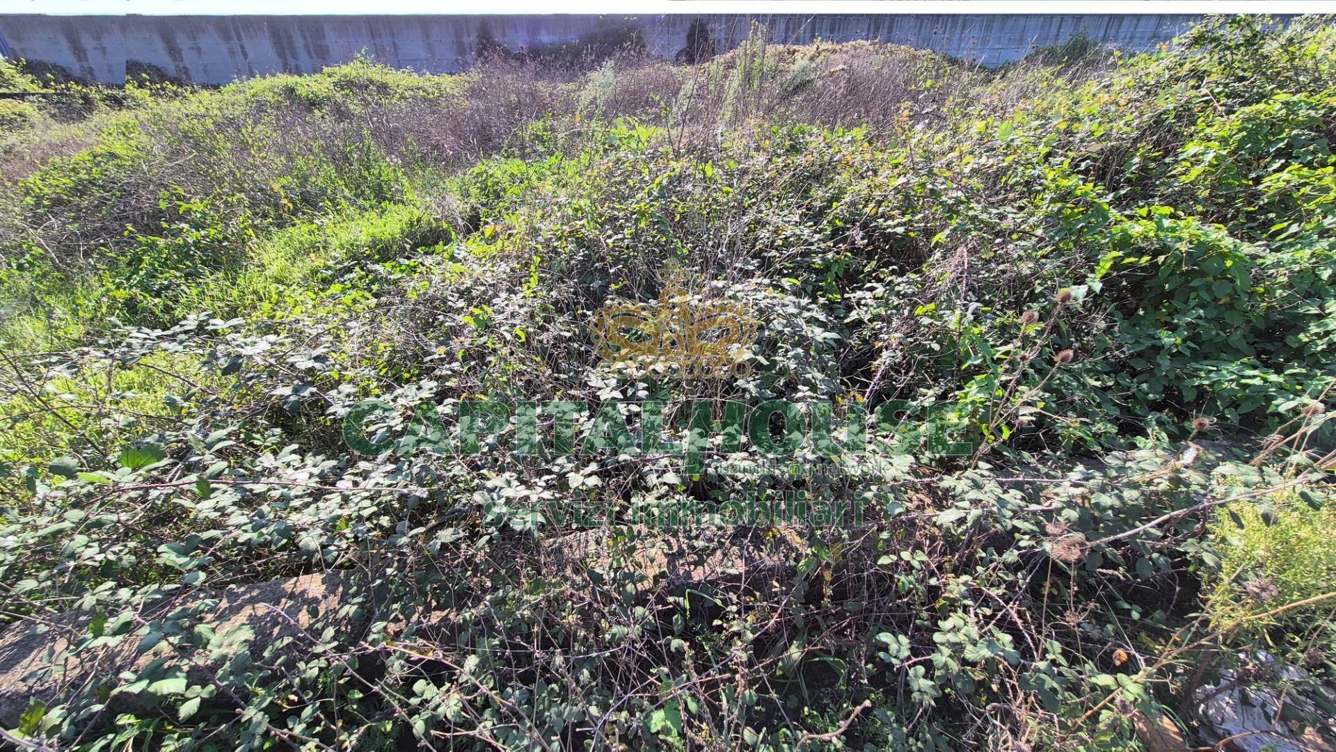 Foto 3 - Terreno edificabile Portico di Caserta - foto 3