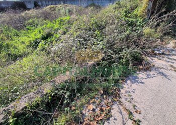 Foto 1 - Terreno edificabile Portico di Caserta - foto 1