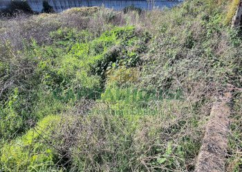 Foto 4 - Terreno edificabile Portico di Caserta - foto 4