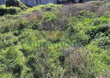 Foto 5 - Terreno edificabile Portico di Caserta - foto 5