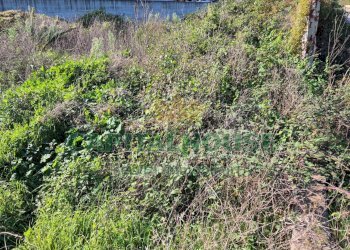 Foto 7 - Terreno edificabile Portico di Caserta - foto 7