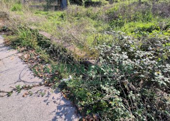 Foto 10 - Terreno edificabile Portico di Caserta - foto 10