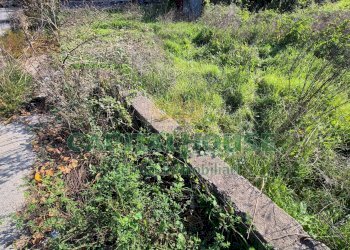 Foto 11 - Terreno edificabile Portico di Caserta - foto 11