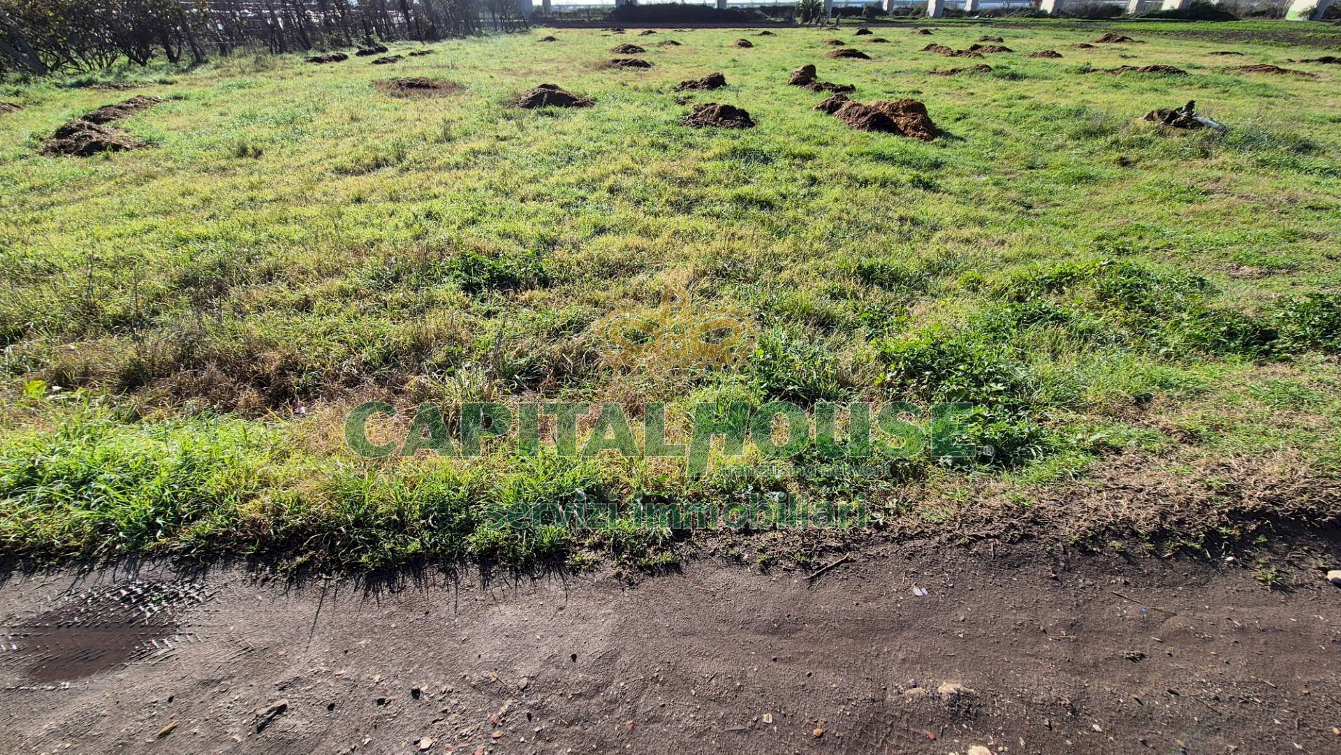 Foto 1 - Agricultural land Marcianise - photo 1