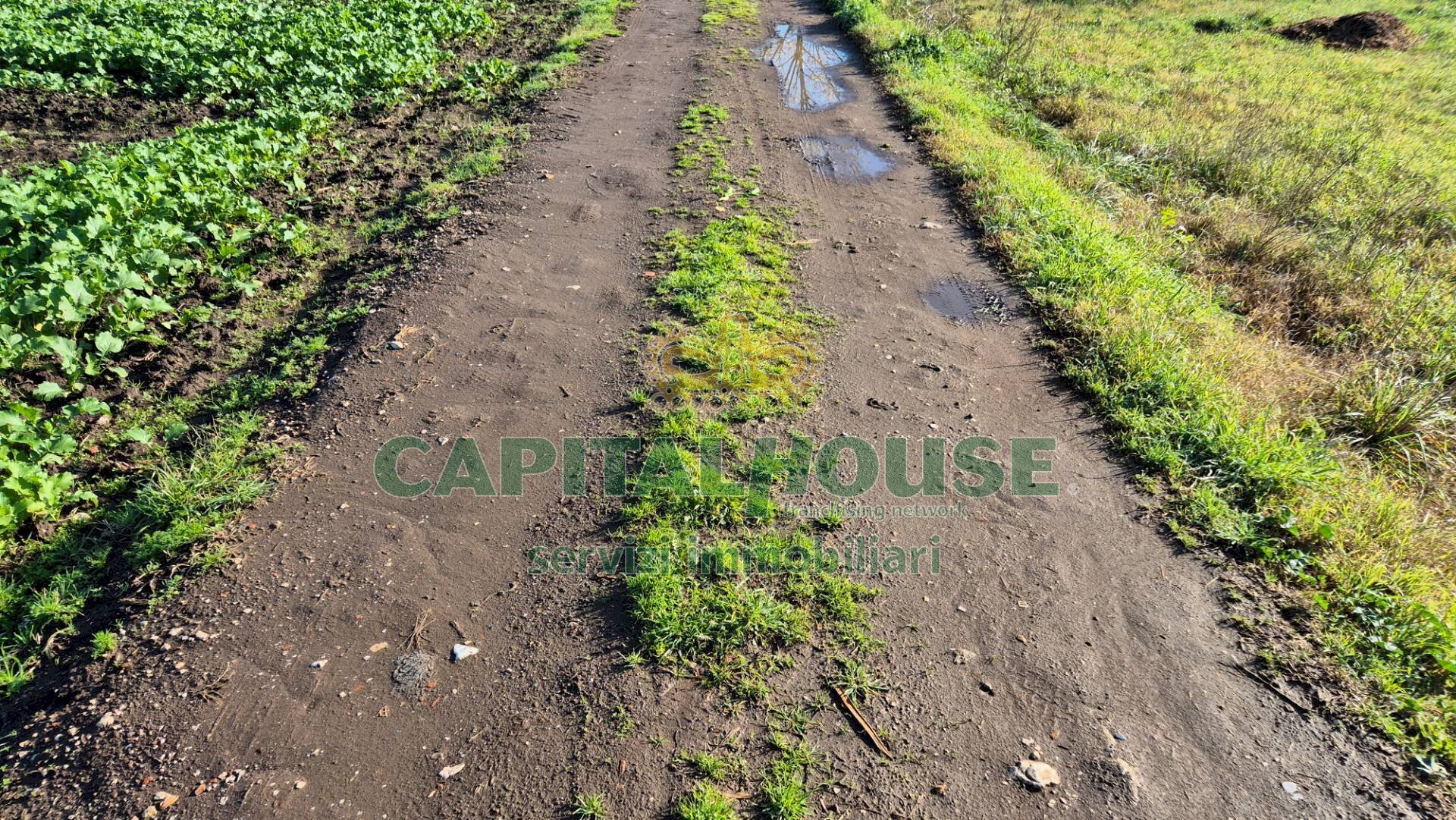 Foto 3 - Agricultural land Marcianise - photo 3