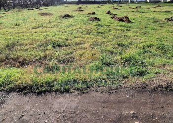 Foto 1 - Terreno agricolo Marcianise - foto 1