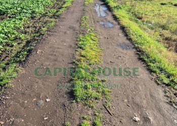 Foto 3 - Terreno agricolo Marcianise - foto 3