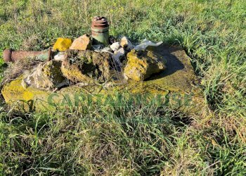 Foto 4 - Terreno agricolo Marcianise - foto 4