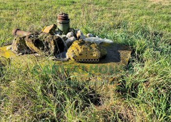 Foto 5 - Terreno agricolo Marcianise - foto 5