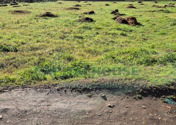 Foto 8 - Terreno agricolo Marcianise - foto 8