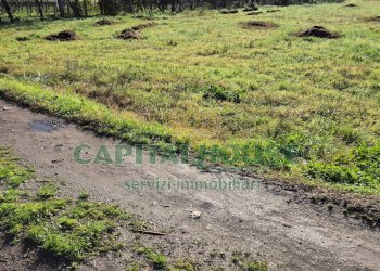 Foto 9 - Terreno agricolo Marcianise - foto 9