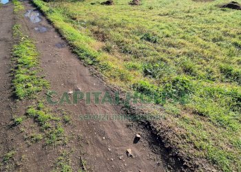 Foto 12 - Terreno agricolo Marcianise - foto 12