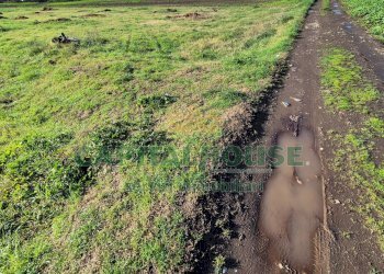 Foto 13 - Terreno agricolo Marcianise - foto 13