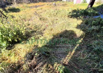 Foto 3 - Terreno edificabile Marcianise - foto 3