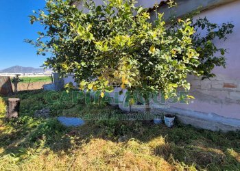 Foto 4 - Terreno edificabile Marcianise - foto 4