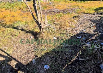 Foto 5 - Terreno edificabile Marcianise - foto 5