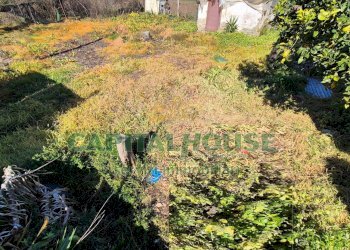 Foto 8 - Terreno edificabile Marcianise - foto 8