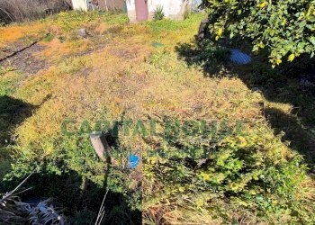 Foto 9 - Terreno edificabile Marcianise - foto 9