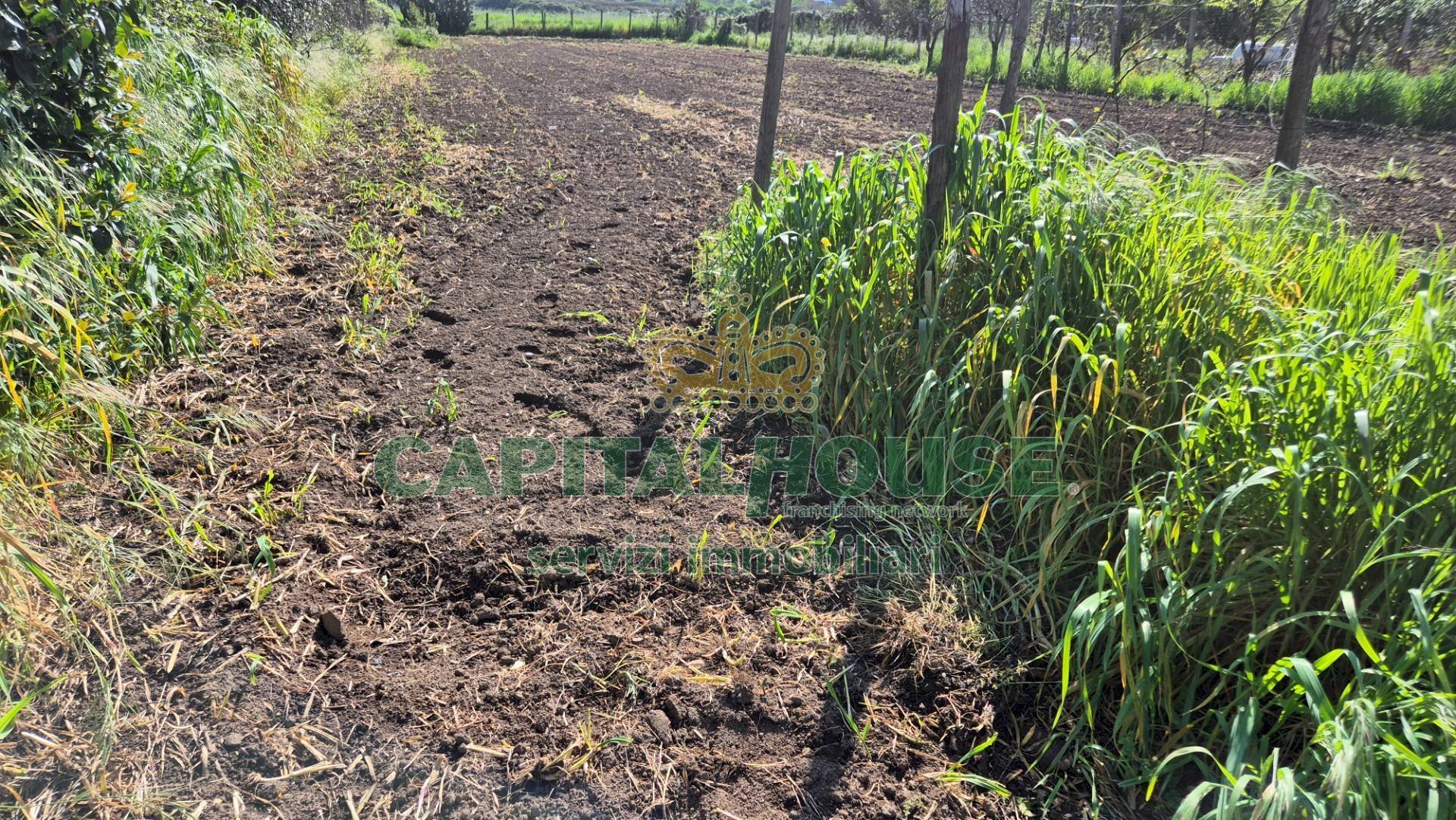 Foto 1 - Agricultural land Recale - photo 1