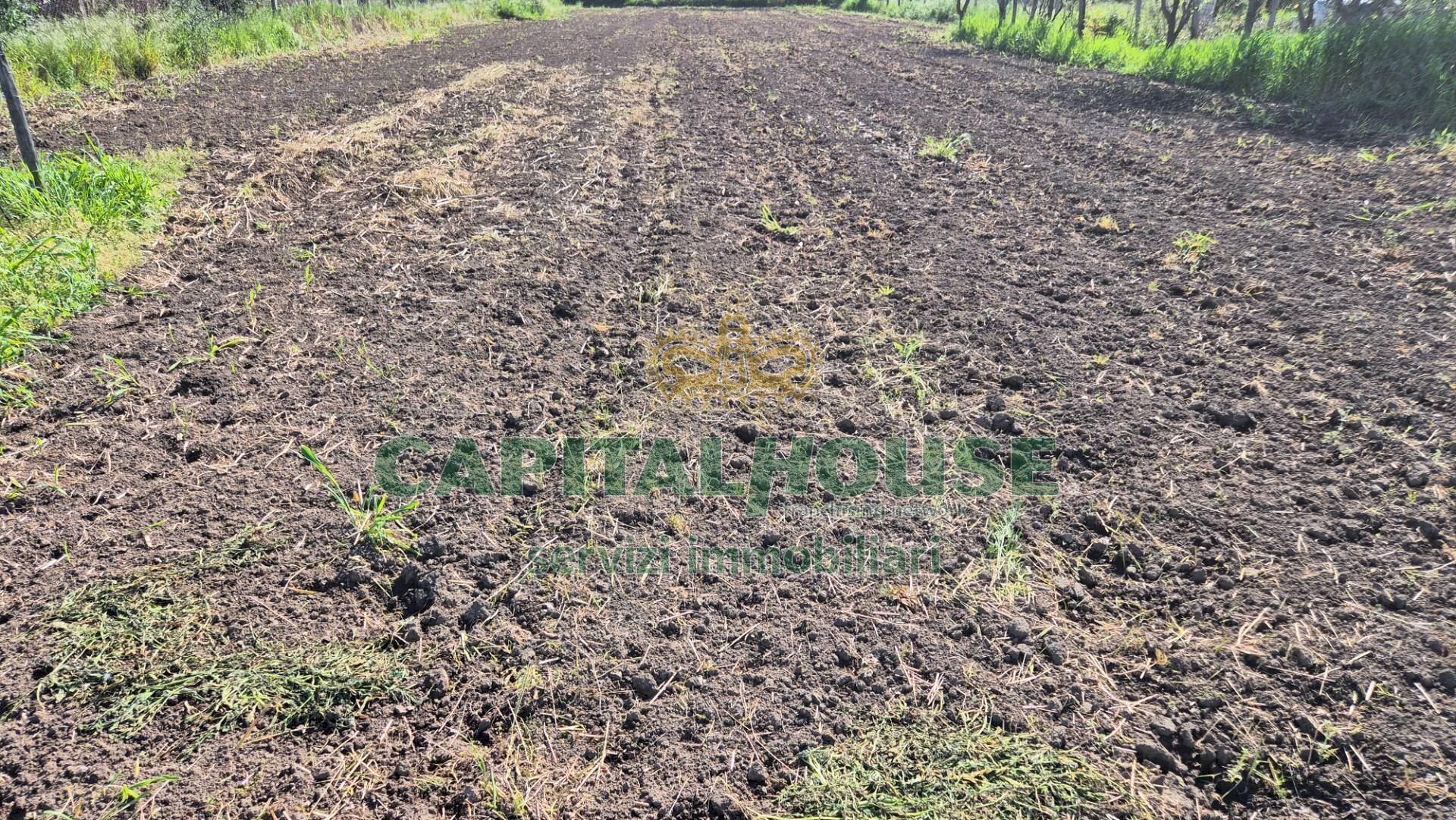 Foto 3 - Agricultural land Recale - photo 3