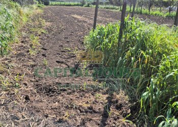 Foto 1 - Terreno agricolo Recale - foto 1