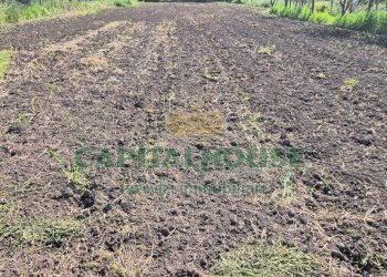 Foto 3 - Terreno agricolo Recale - foto 3