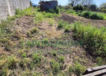 Foto 4 - Terreno agricolo Recale - foto 4