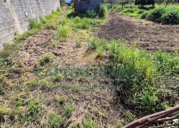 Foto 5 - Terreno agricolo Recale - foto 5