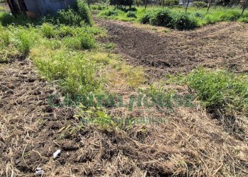 Foto 6 - Terreno agricolo Recale - foto 6