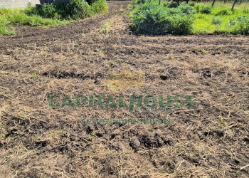 Foto 7 - Terreno agricolo Recale - foto 7