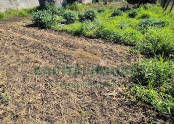 Foto 9 - Terreno agricolo Recale - foto 9