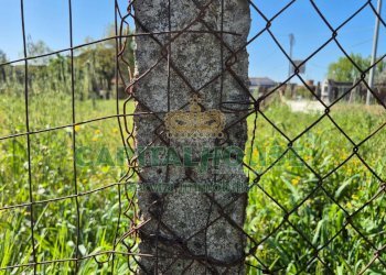 Foto 10 - Terreno agricolo Recale - foto 10