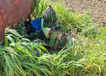 Foto 12 - Terreno agricolo Recale - foto 12