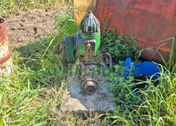 Foto 13 - Terreno agricolo Recale - foto 13