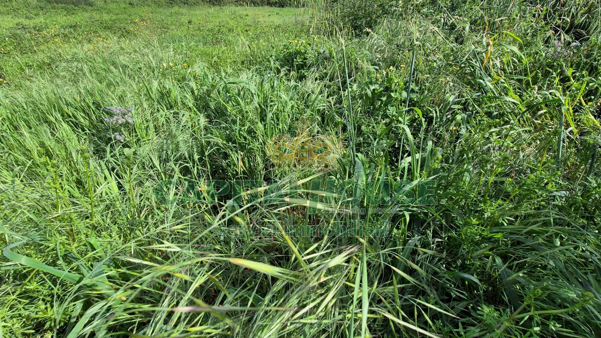 Foto 1 - Terreno agricolo Recale - foto 1