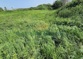 Foto 4 - Terreno agricolo Recale - foto 4