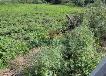 Foto 7 - Terreno agricolo Recale - foto 7