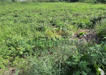 Foto 8 - Terreno agricolo Recale - foto 8