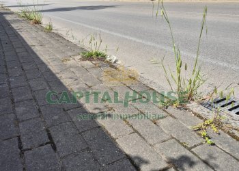 Foto 16 - Terreno agricolo Recale - foto 16