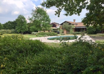 Veduta della villa dal parco - Villa San Biagio di Callalta - photo 37