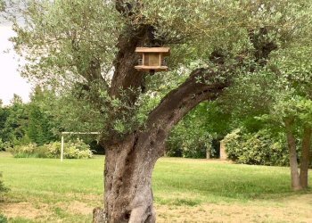 Foto 42 - Villa San Biagio di Callalta - photo 38