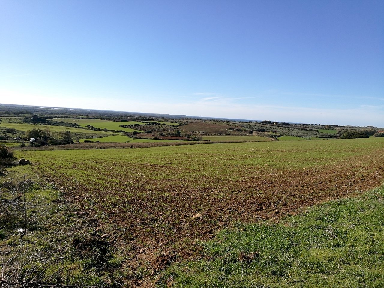 Foto 3 - Building land via is arzolas, Narbolia - photo 3